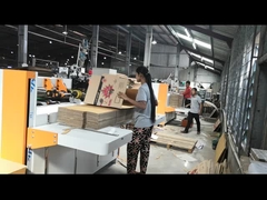 Double Servo Tốc độ cao Semi Auto hai mảnh khâu khớp